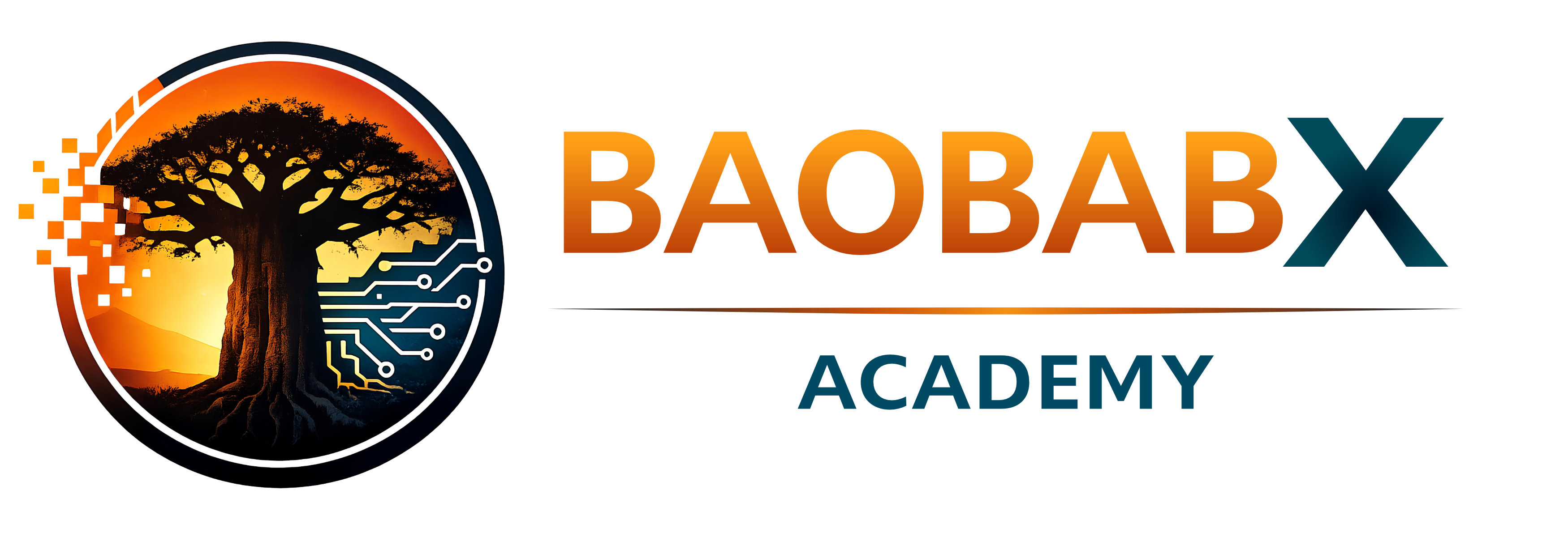 BaobabX ACADEMY.jpg
